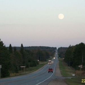 Meet your Posher, Harvey